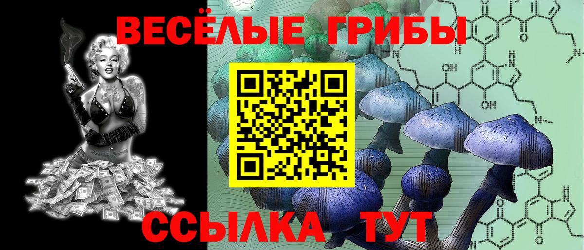 Щёлково  Галлюциногенные грибы GOLDEN TEACHER  Вход с VPN 