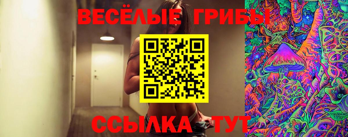 Галлюциногенные грибы Psilocybe Щёлково